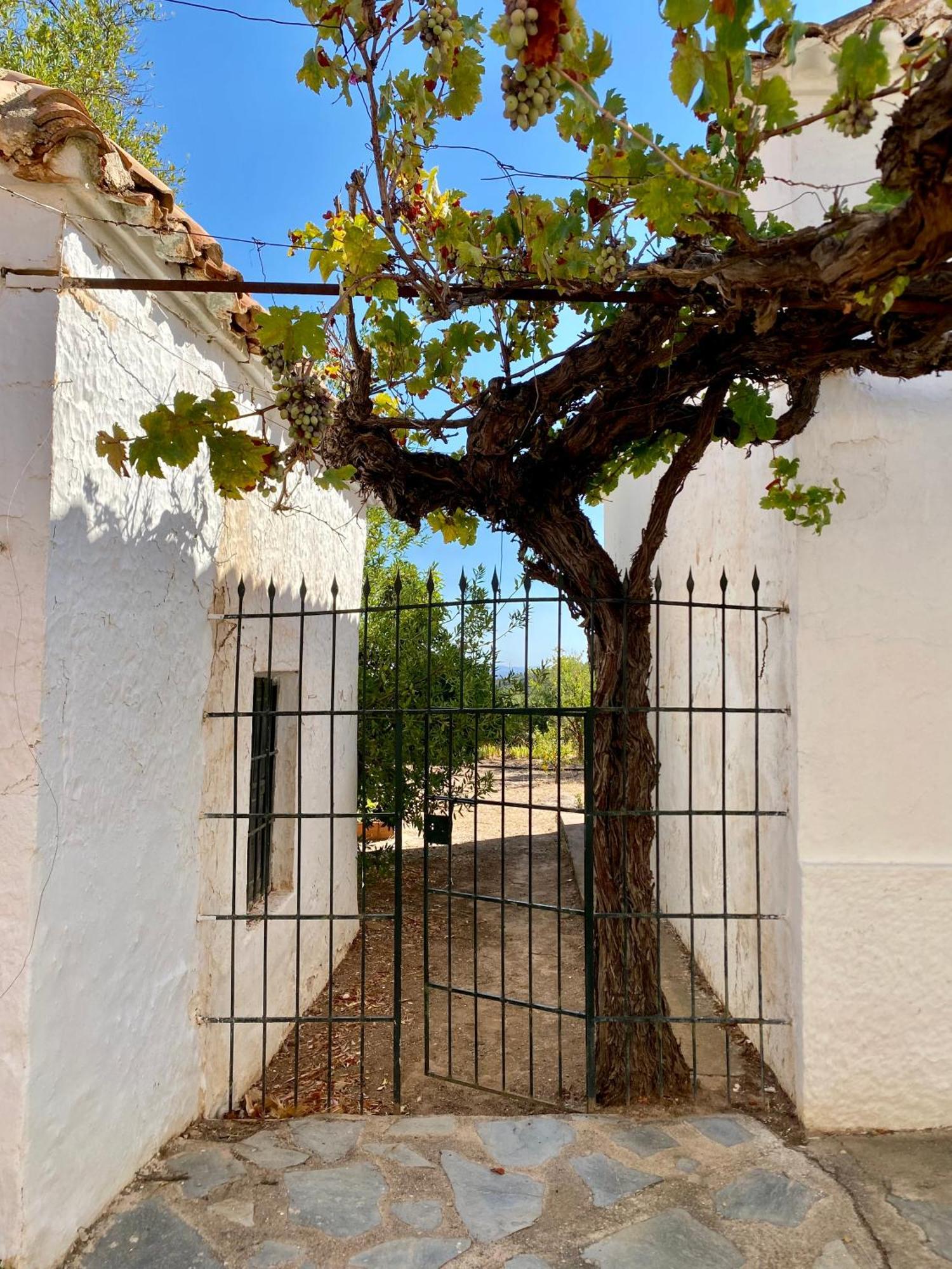 Real Fundicion De Alcora Villa Canjáyar Kültér fotó