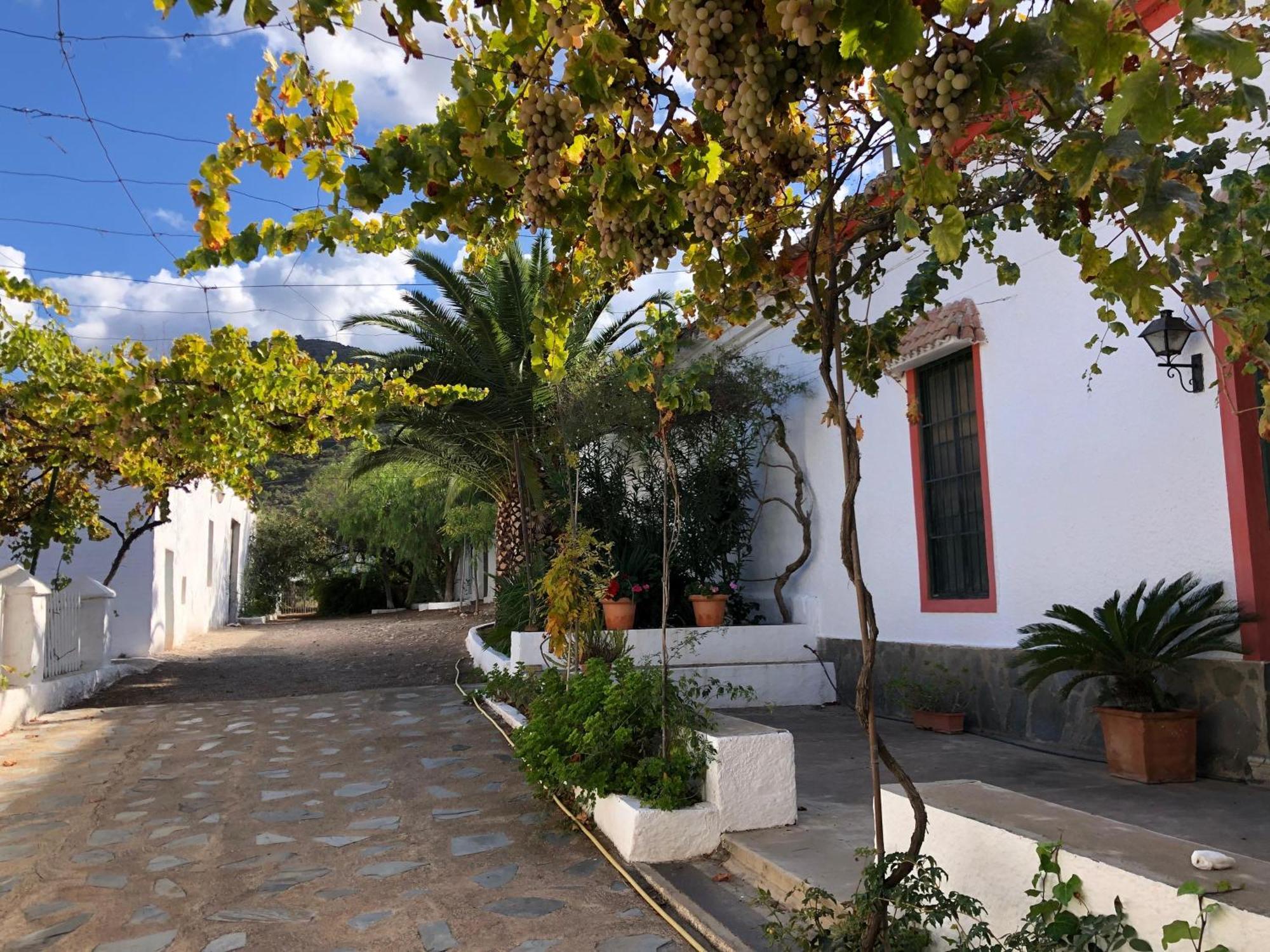 Real Fundicion De Alcora Villa Canjáyar Kültér fotó